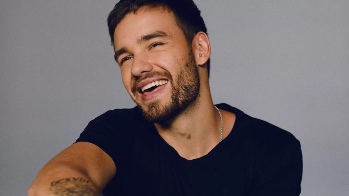 CHUTOGEL lagu-lagu hits Liam Payne