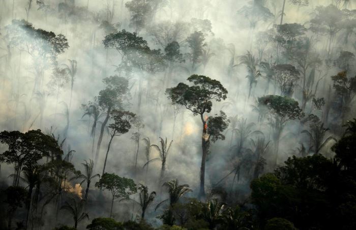 Potret taman nasional brasilia masih membara